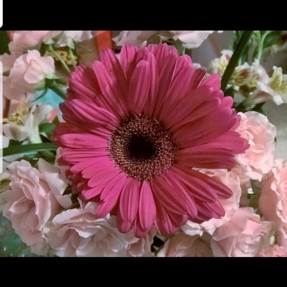 Meet your Posher, Soni Posh Ambassador - Picture 2 of 8